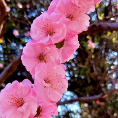個人頭像