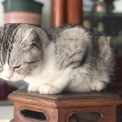 個人頭像
