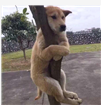 個人頭像