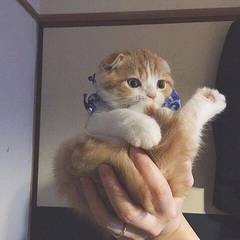 個人頭像