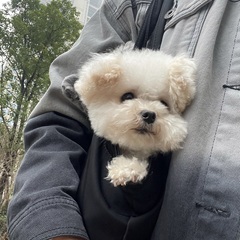 個人頭像