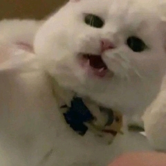 個人頭像