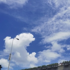 個人頭像
