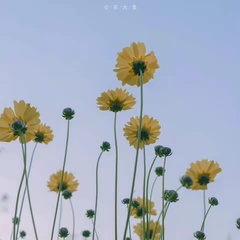 個人頭像