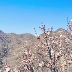 個人頭像