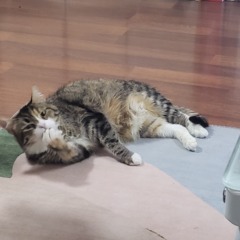個人頭像