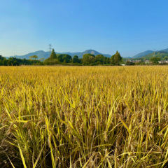 個人頭像