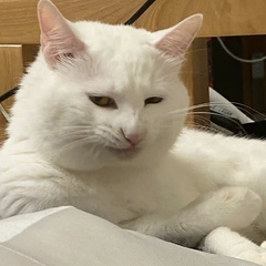 個人頭像