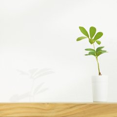 個人頭像