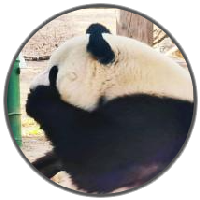 個(gè)人頭像