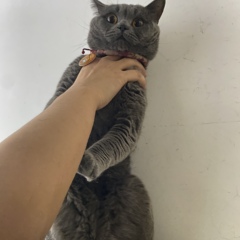 個人頭像