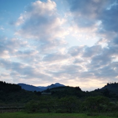 個人頭像