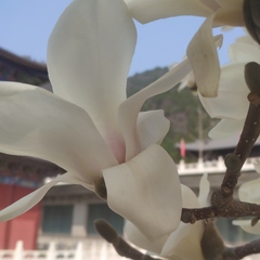 個人頭像