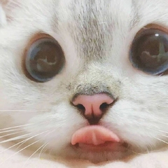 個人頭像