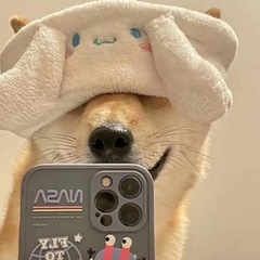 個人頭像