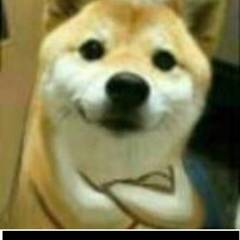 個人頭像