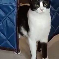 個人頭像