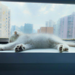 個人頭像