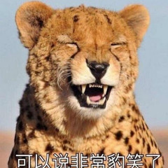 個人頭像