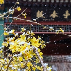 個人頭像