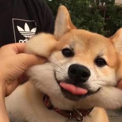 個人頭像