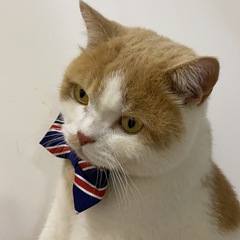 個人頭像