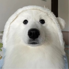 個人頭像