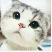 個人頭像