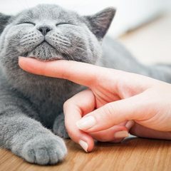 個人頭像