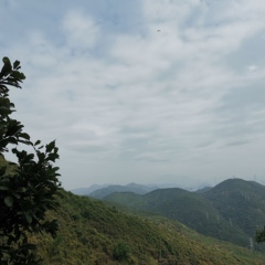 個(gè)人頭像