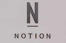 专家团｜宇婷：Notion的用户经济 ：爱好者们传播 “第二大脑”的理念