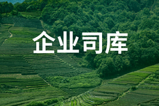 企服点评<dptag>专</dptag>家团杨梦：司库红<dptag>利</dptag>之下，财资厂商的春天到来了吗？