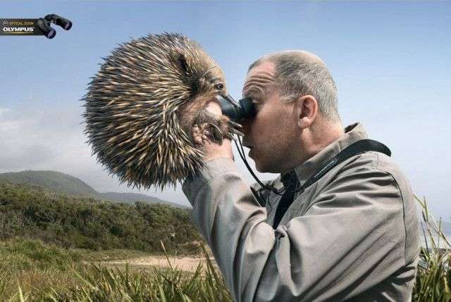 好文案，学点社会心理学很有必要！