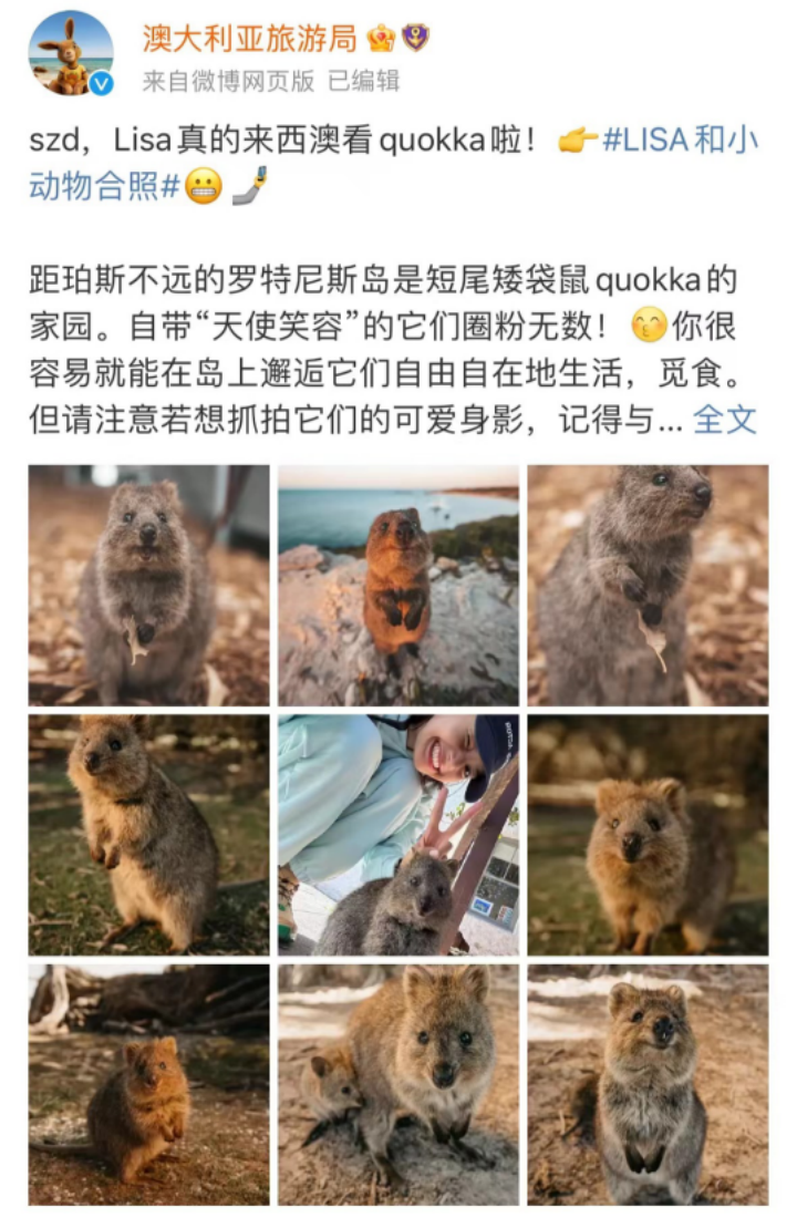 澳大利亞的新“頂流”，講出了出境游的“新故事”