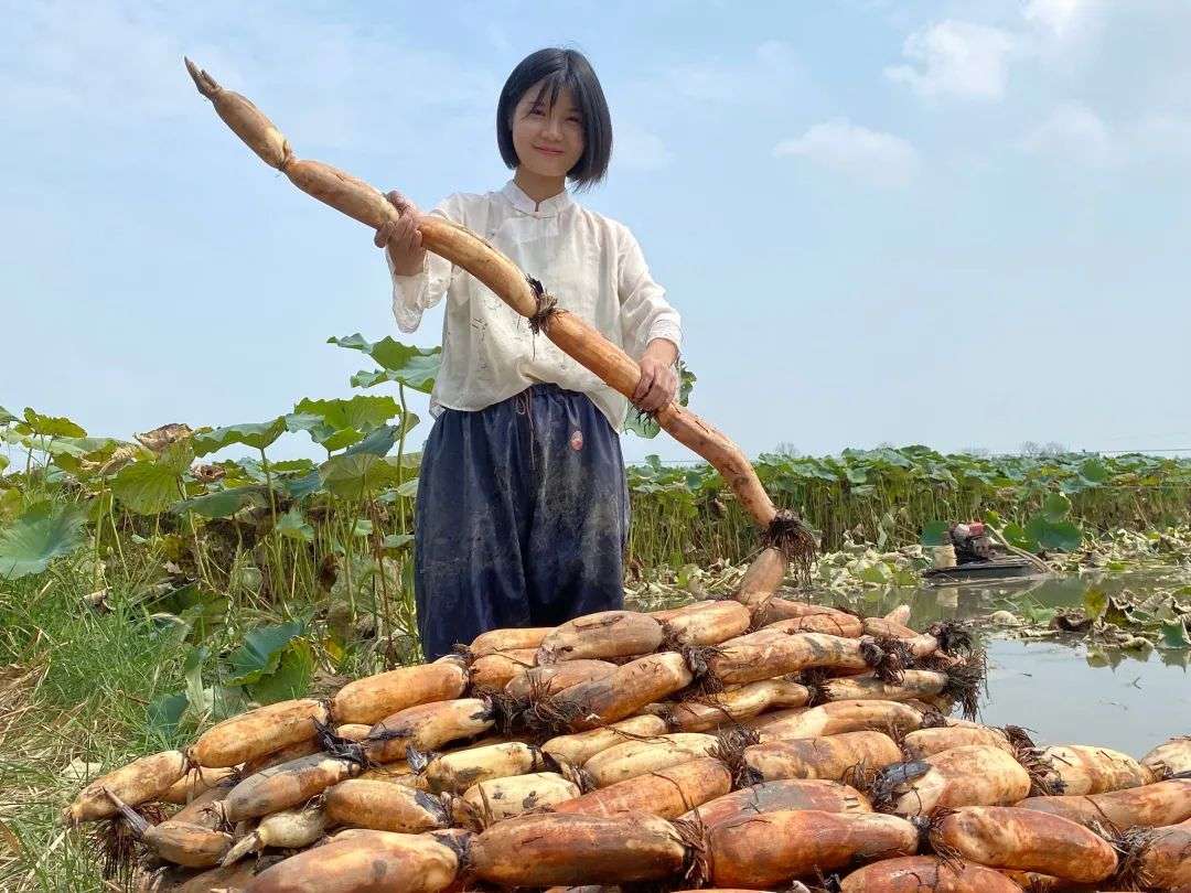 90后會計辭職不愿磨去棱角，15天直播怒賣20萬斤菱角