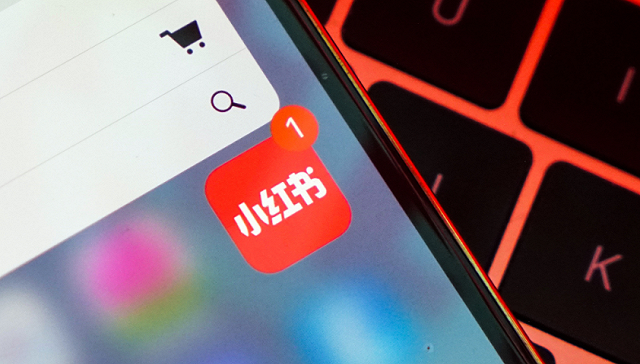 畸形的小紅書、抖音打卡，從不要臉到不要命