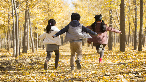 高价名校研学团，吸血家长折腾孩子的杀猪盘