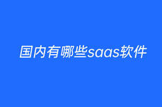 国内有哪些saas软件