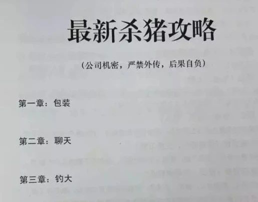 網聊一個月，殺豬盤騙子竟被AI整破防！200萬網友大呼震撼