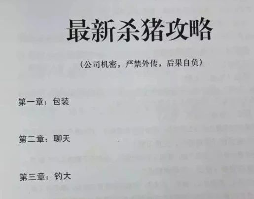 网聊一个月，杀猪盘骗子竟被AI整破防！200万网友大呼震撼