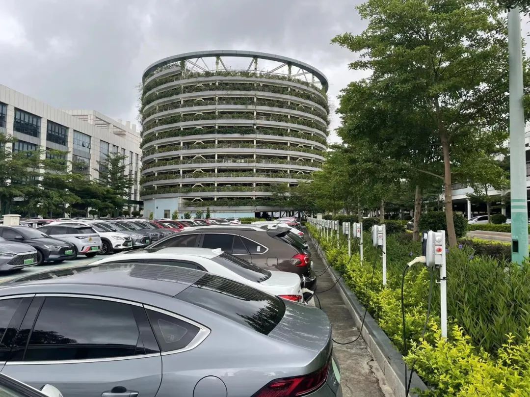 滬深雙雄：不止特斯拉和比亞迪