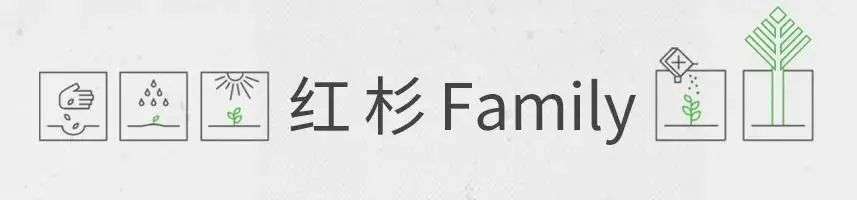 Notion：你的創造無需代碼