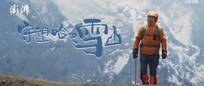 錯峰下注，誰在反向增加品牌預算？