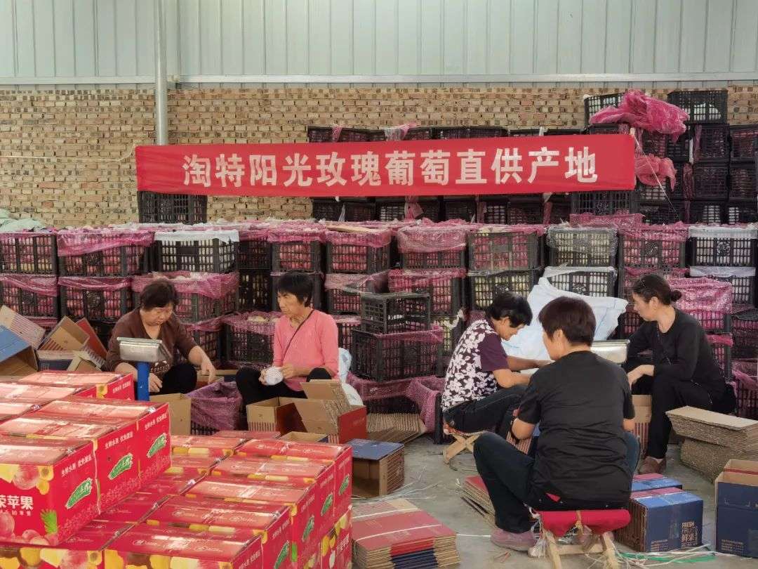 上海摄影师回农村卖水果，上淘特年销1500万元