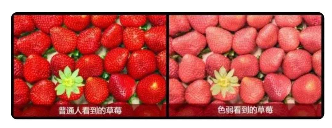 淘寶針對色盲色弱人群開發多彩模式，雙11前后有望上線