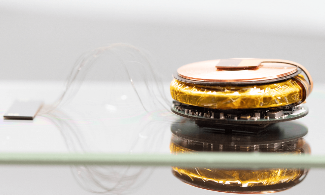 马斯克的猴子正在推动一场脑机革命，代价只是“香蕉奶昔”