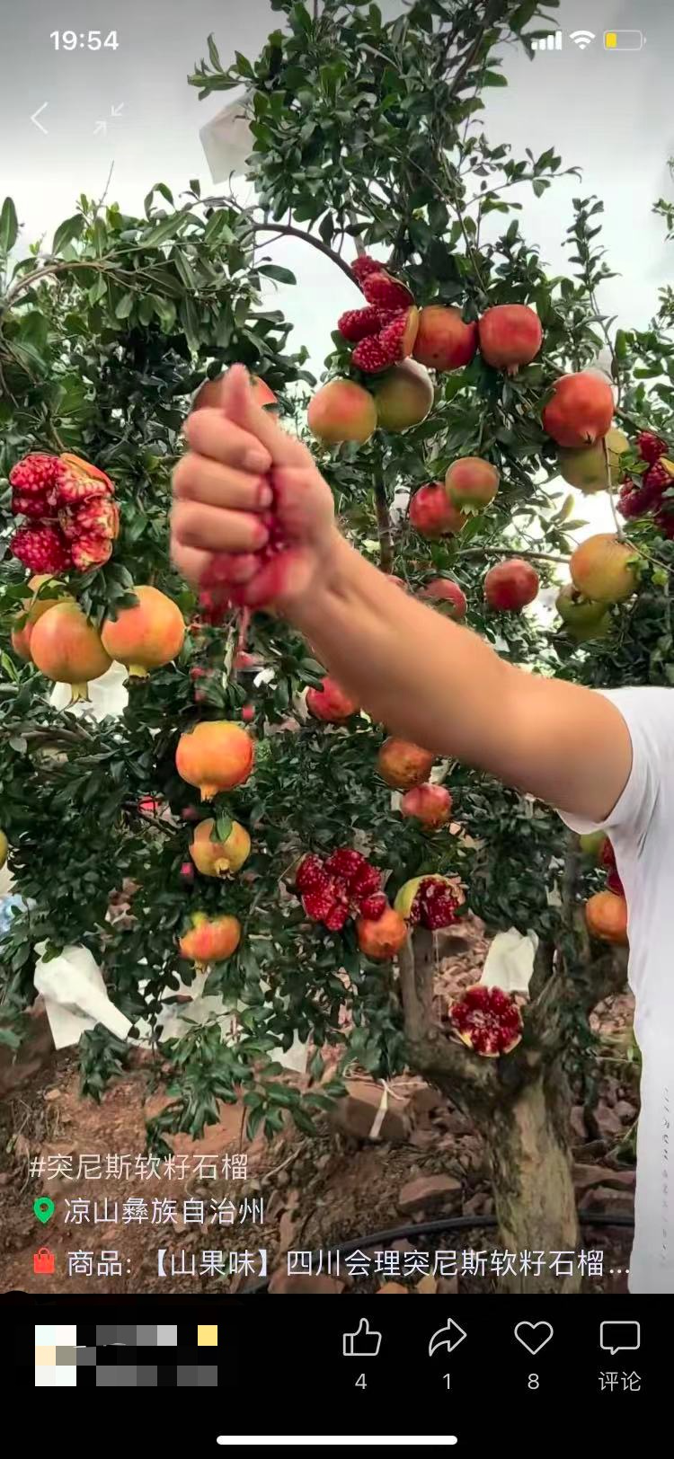 視頻號創作者的三農2.0