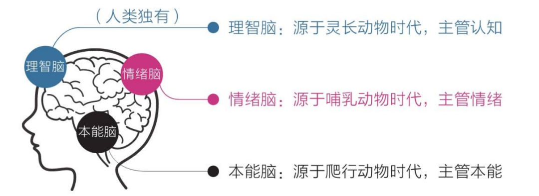 自媒体运营的底层逻辑：影响用户行为的7个心理因素