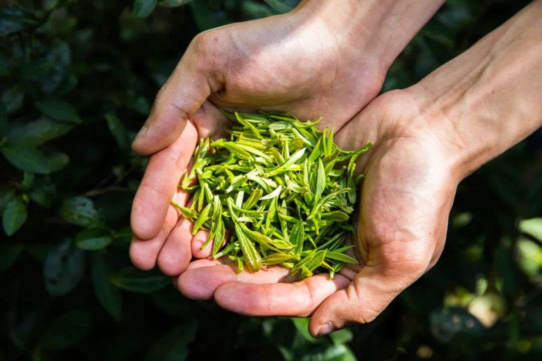 奈雪的茶：做投資、搞營銷，難成解藥