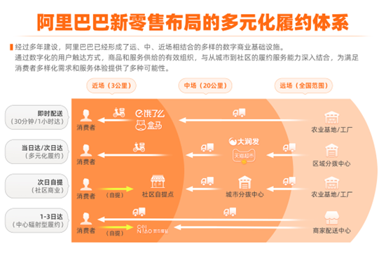 “雙貓聯動”：品牌下一個增長紅利